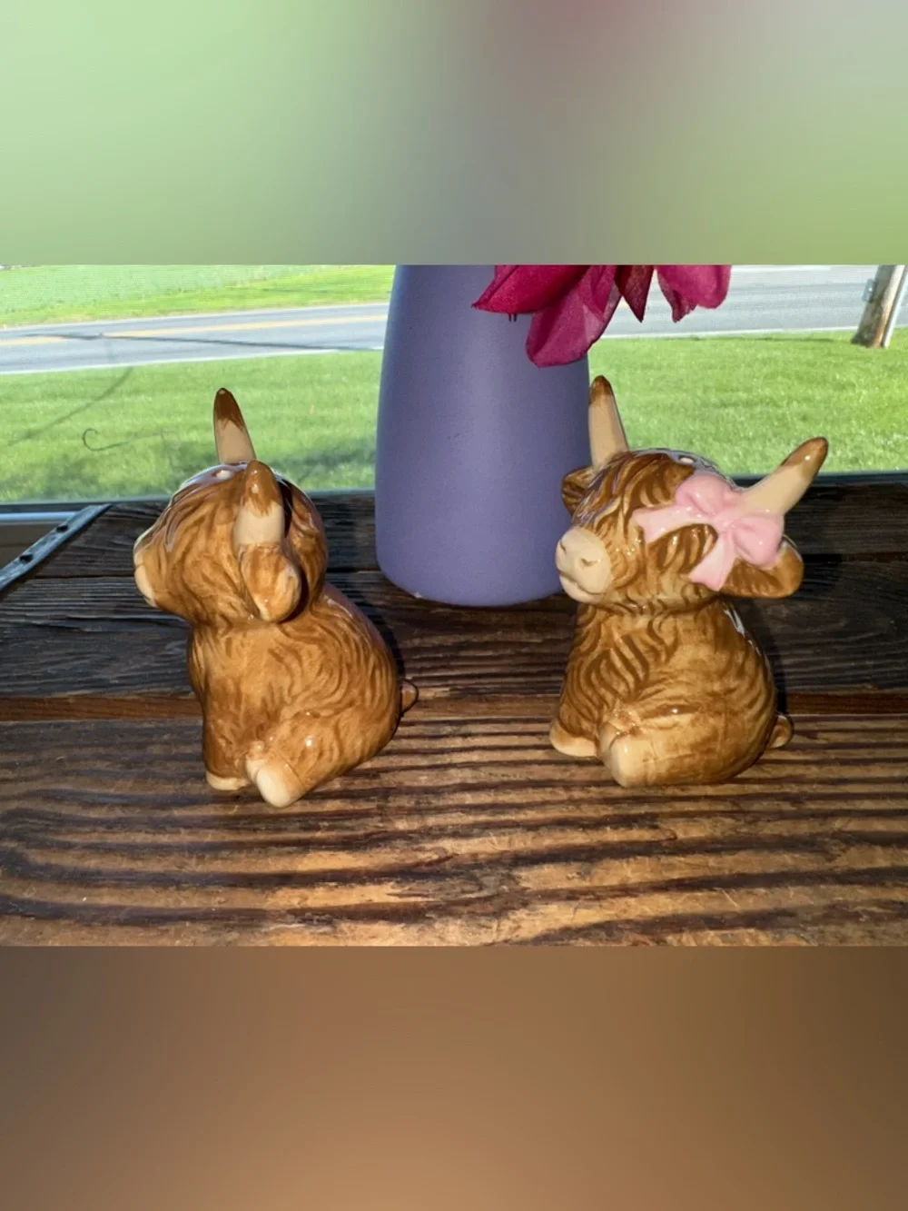 Highland Cows Salt & Pepper Shakers - NIP